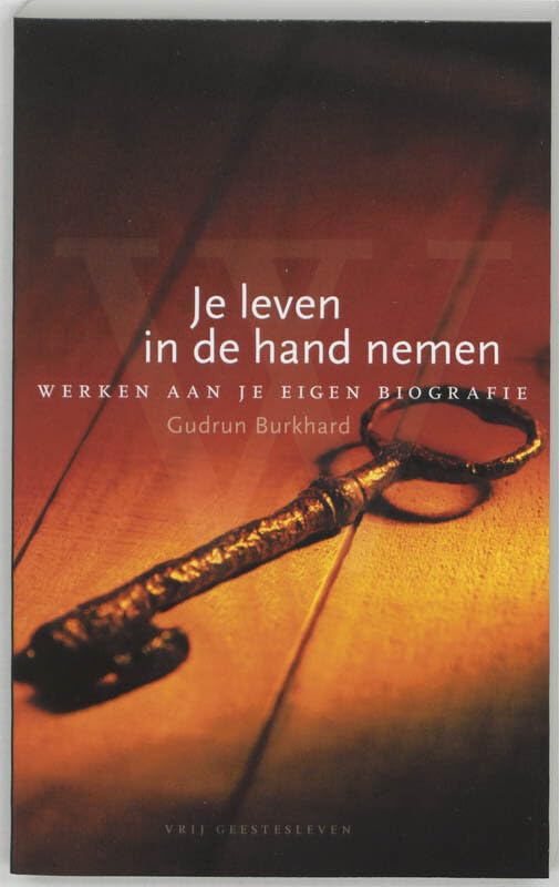 Je leven in de hand nemen: werken aan je eigen biografie book