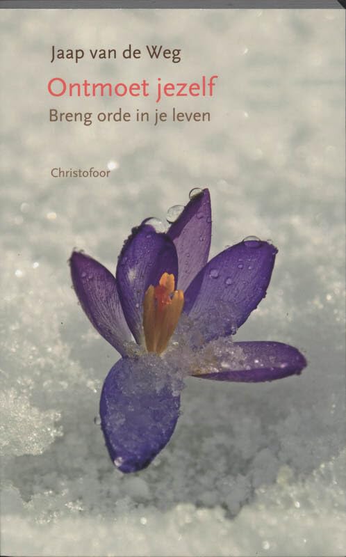 Ontmoet jezelf, breng orde in je leven: oefeningen voor de tegenwoordigheid van geest book