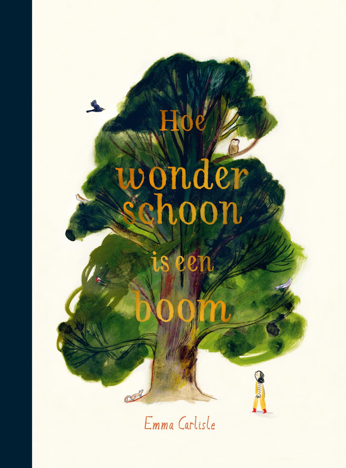 Hoe wonderschoon is een boom book