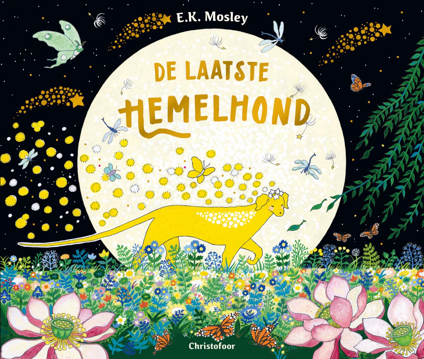 De heer der elementen: Verkenningen in het grensgebied tussen natuur en christendom book