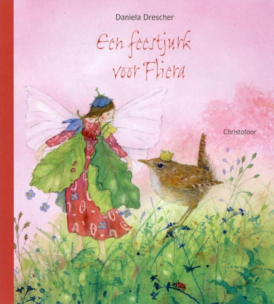 Een feestjurk voor Fliera book