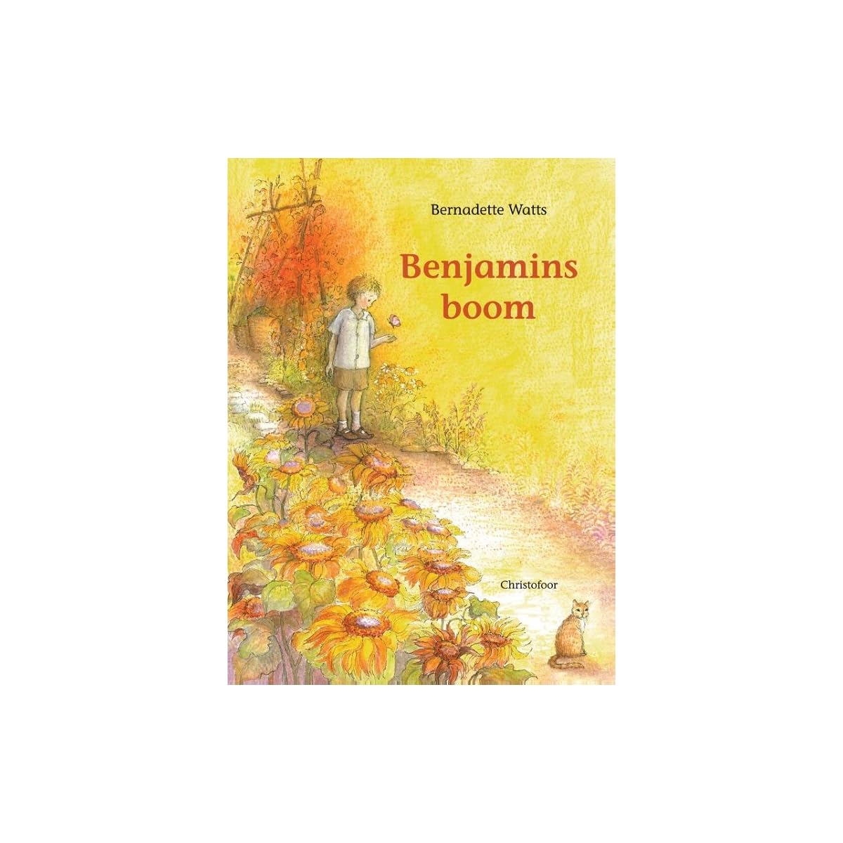 Product Image: Benjamins boom