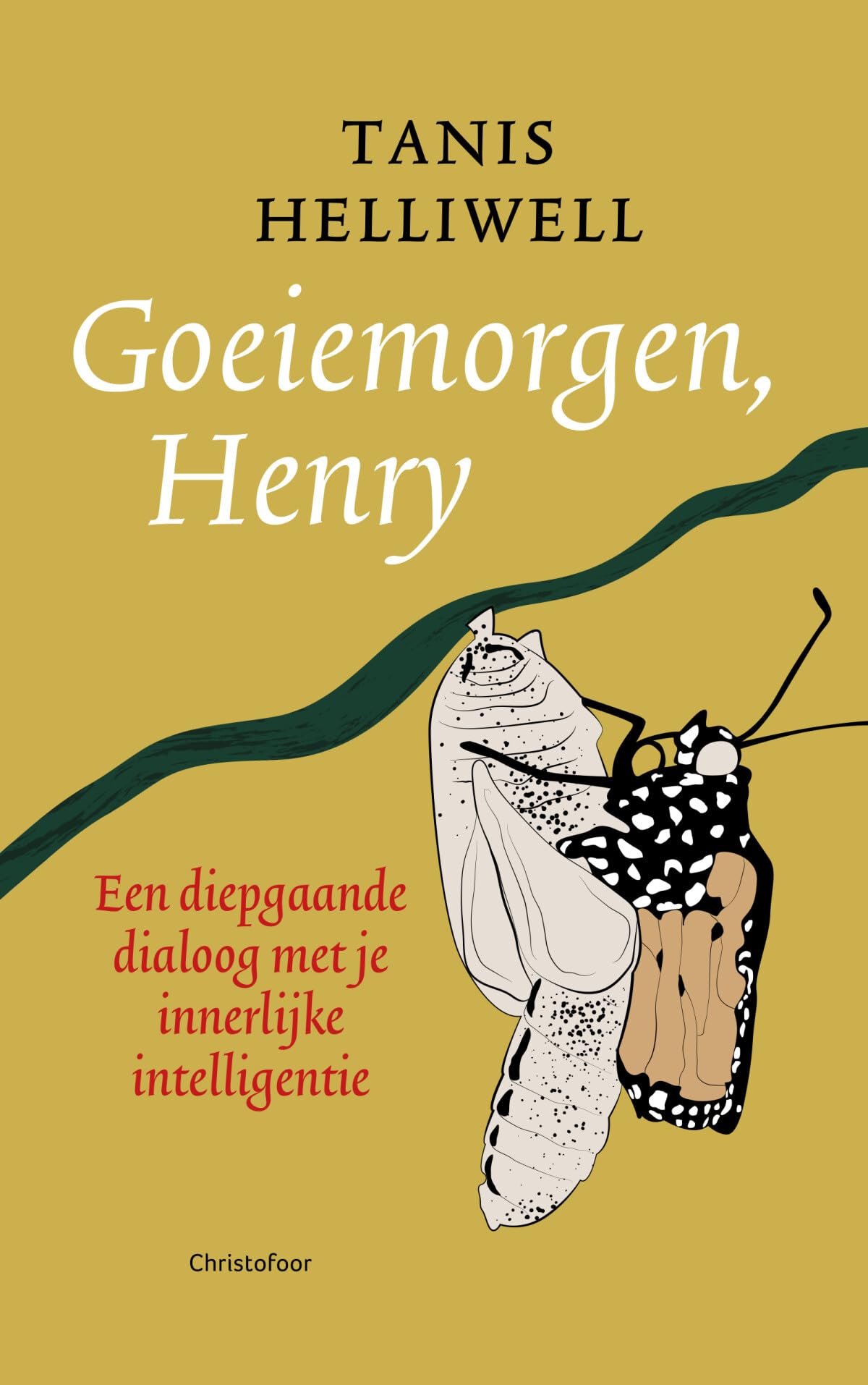 Goeiemorgen Henry: op zoek naar je betere ik : een praktische handleiding Religion & Esotericism