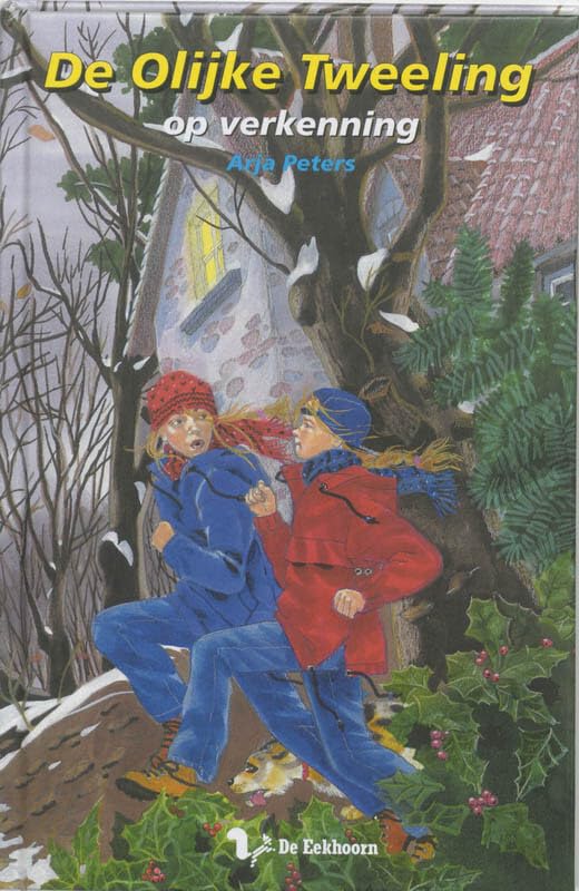 De olijke tweeling op verkenning book