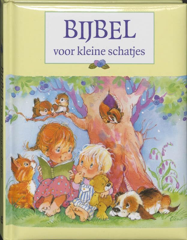 Bijbel voor kleine schatjes book