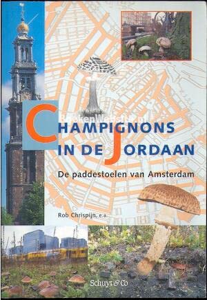 Paardenbijters en mensentreiters: de veelpoters van Amsterdam book