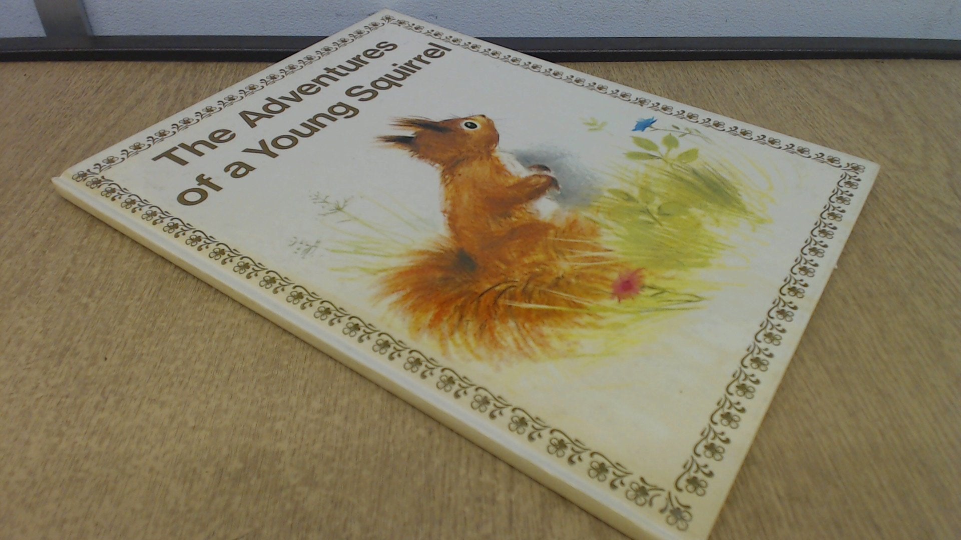 The Adventures of A Young Squirrel (Series 670) Films