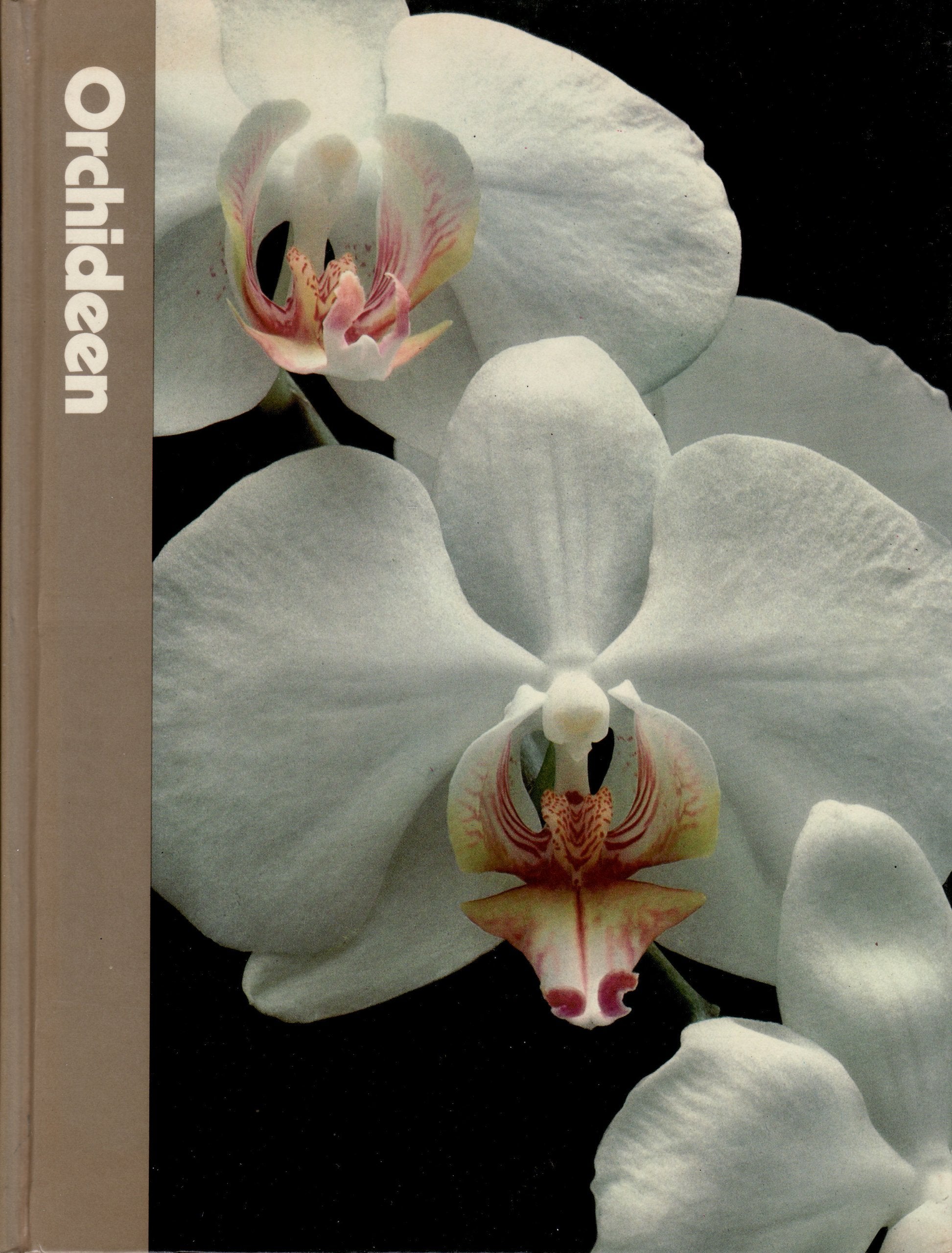Orchideen Books