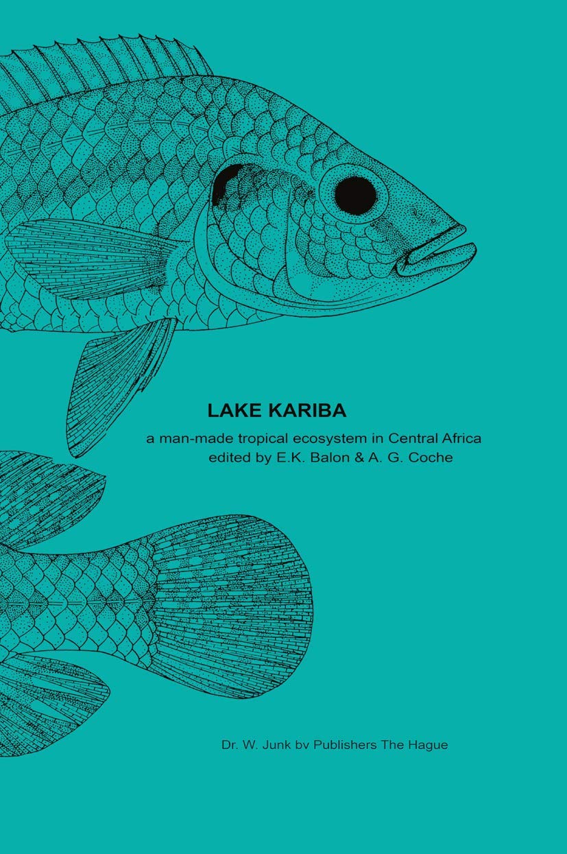 Product Image: Lake Kariba