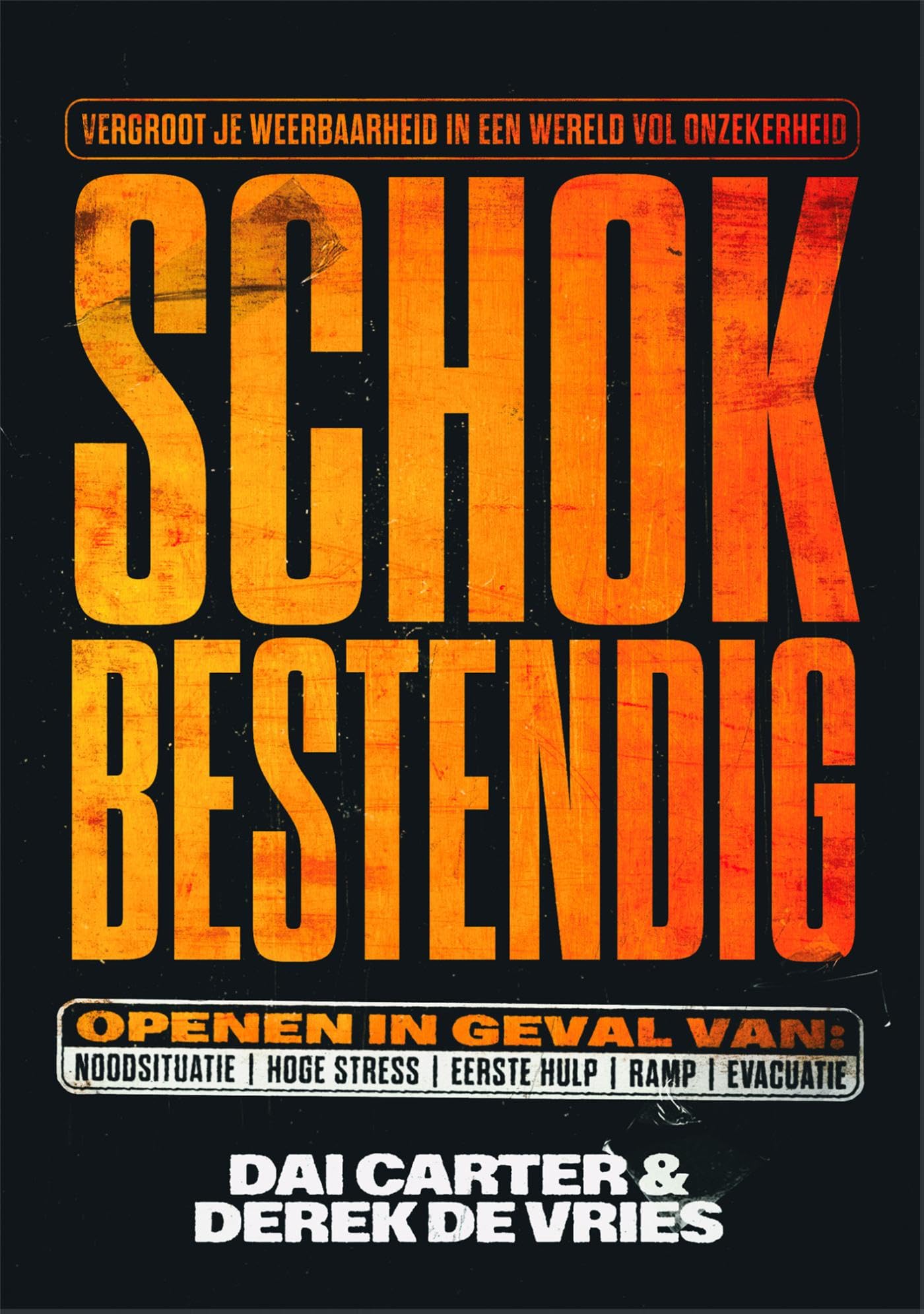 Schokbestendig: vergroot je weerbaarheid in een wereld vol onzekerheid book