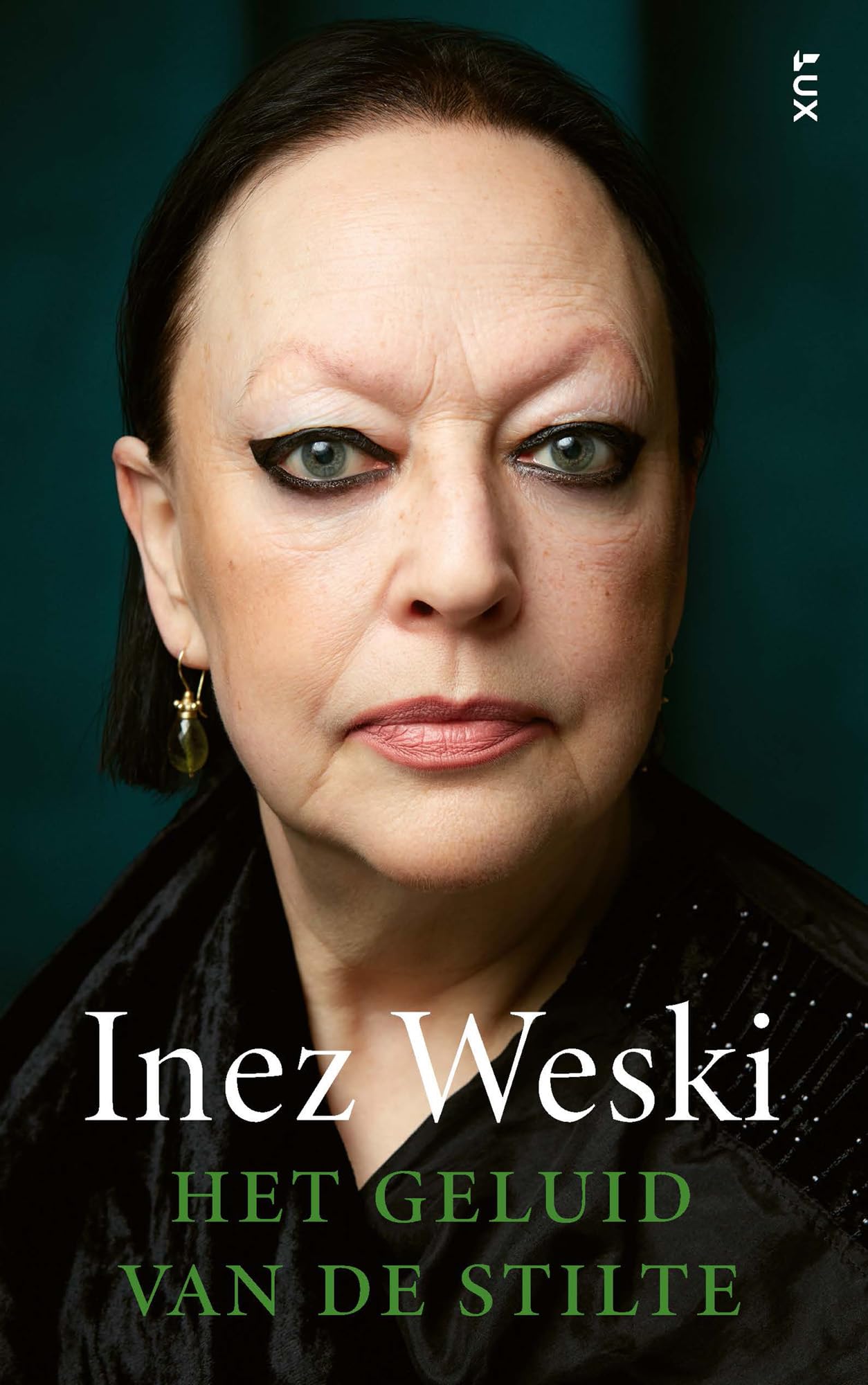 Het geluid van de stilte: Een jaar leven in een voortrazende orkaan book
