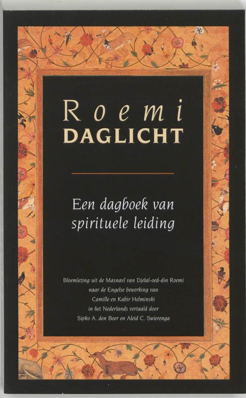 Daglicht: een dagboek van spirituele leiding book