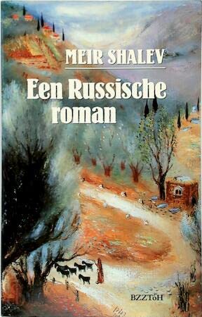 Een Russische roman book