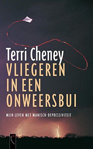 Vliegeren in een onweersbui: mijn leven met manisch-depressiviteit book