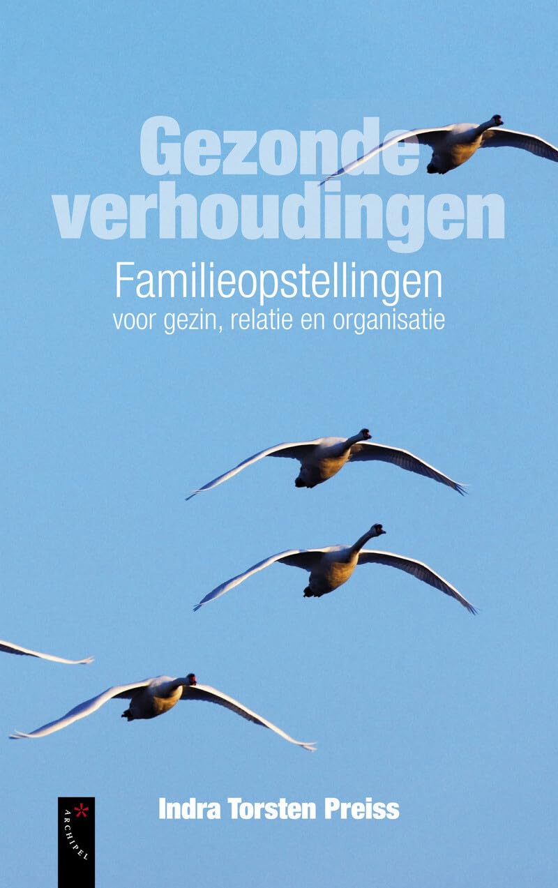 Gezonde verhoudingen: familieopstellingen voor gezin, relatie en organisatie book