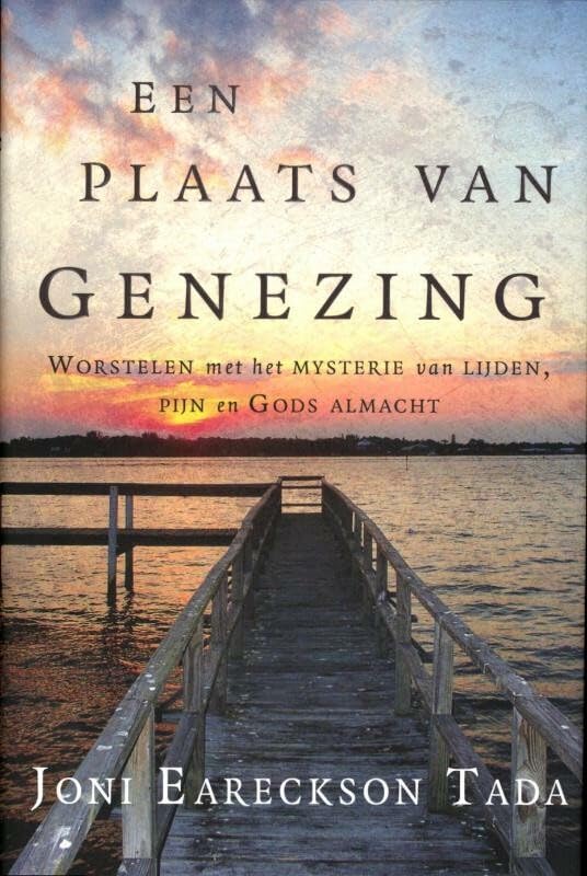 Een plaats van genezing: worstelen met het mysterie van lijden, pijn en gods almacht book