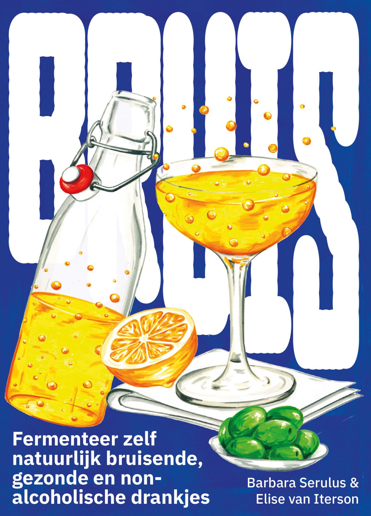 Bruis: fermenteer zelf natuurlijk bruisende gezonde en non-alcoholische dranken book