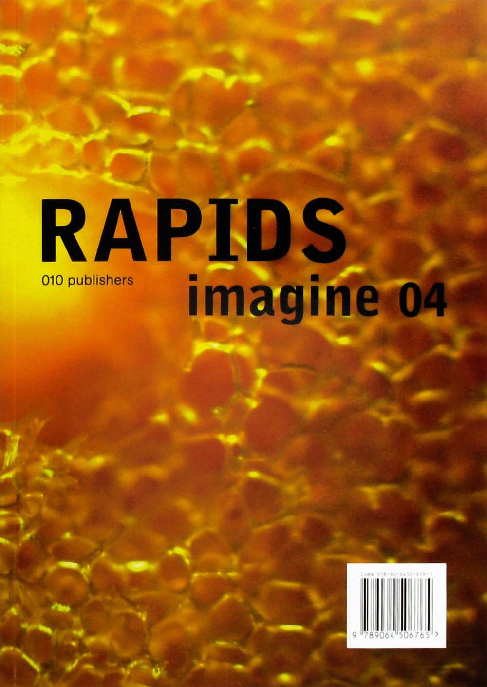 Imagine No. 04: Rapids: Layered Fabrication Technologies for Facades and Building Construction (Imagine, 4, Band 4) Social Sciences