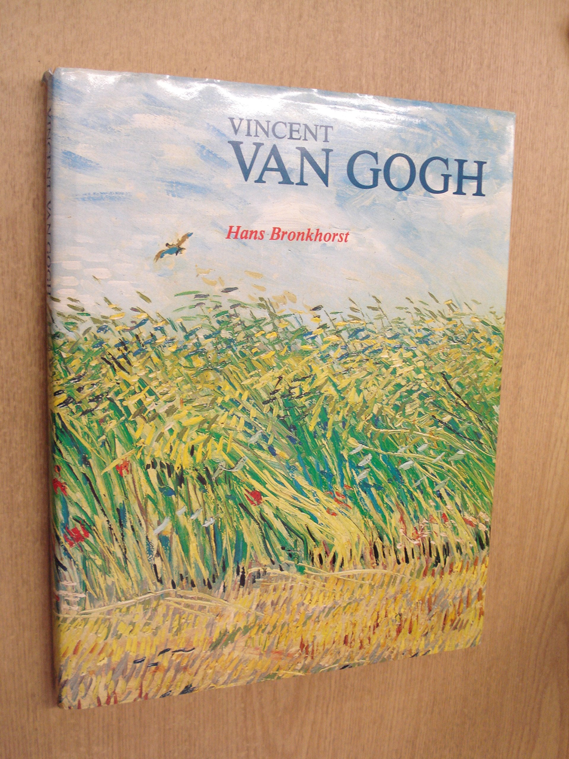 Vincent van Gogh: zijn leven, zijn werk book