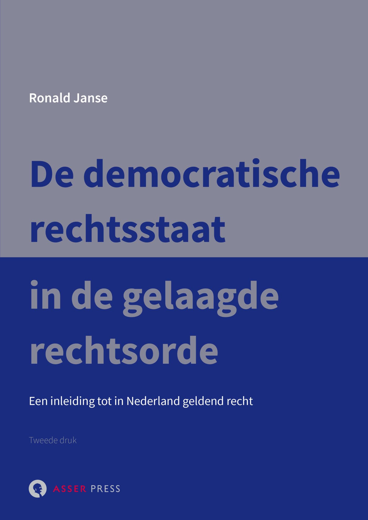De democratische rechtsstaat in de gelaagde rechtsorde: Een inleiding tot in Nederland geldend recht book