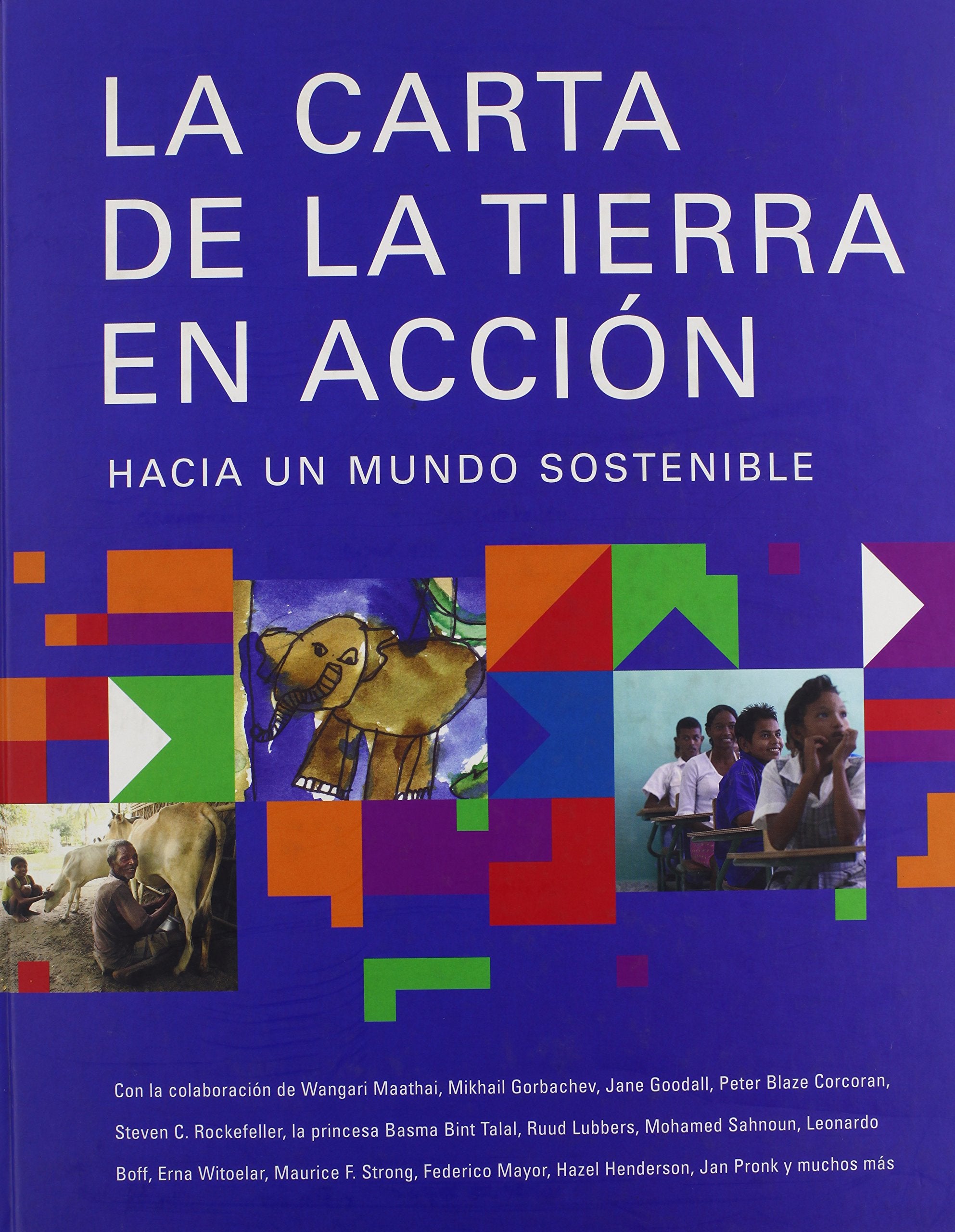 La Carta De La Tierra En Accion: Hacia Un Mundo Sostenible book