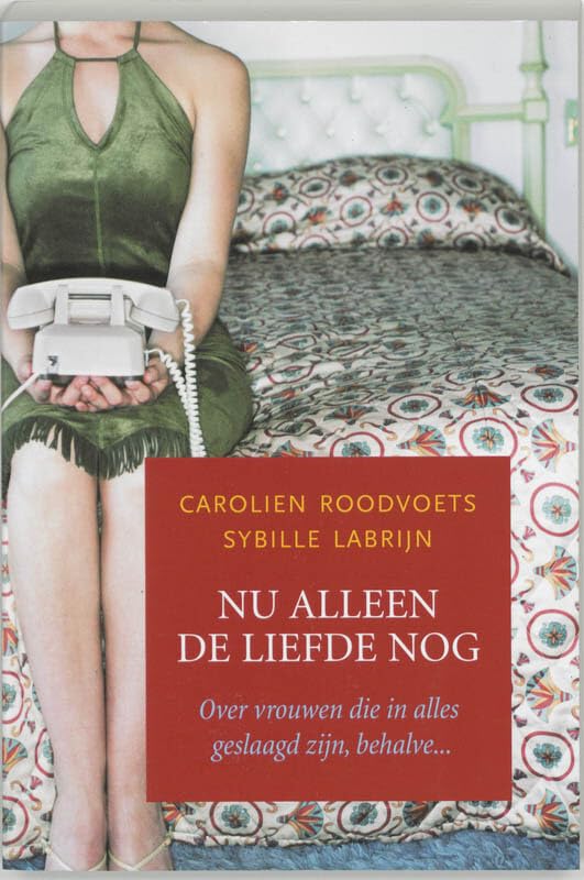 Nu alleen de liefde nog: over vrouwen die in alles geslaagd zijn, behalve ... Non-fiction books