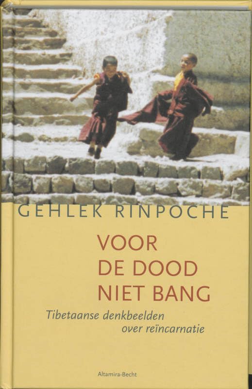 Voor de dood niet bang: tibetaanse denkbeelden over reincarnatie book