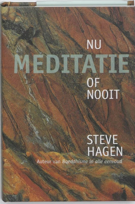 Meditatie nu of nooit book