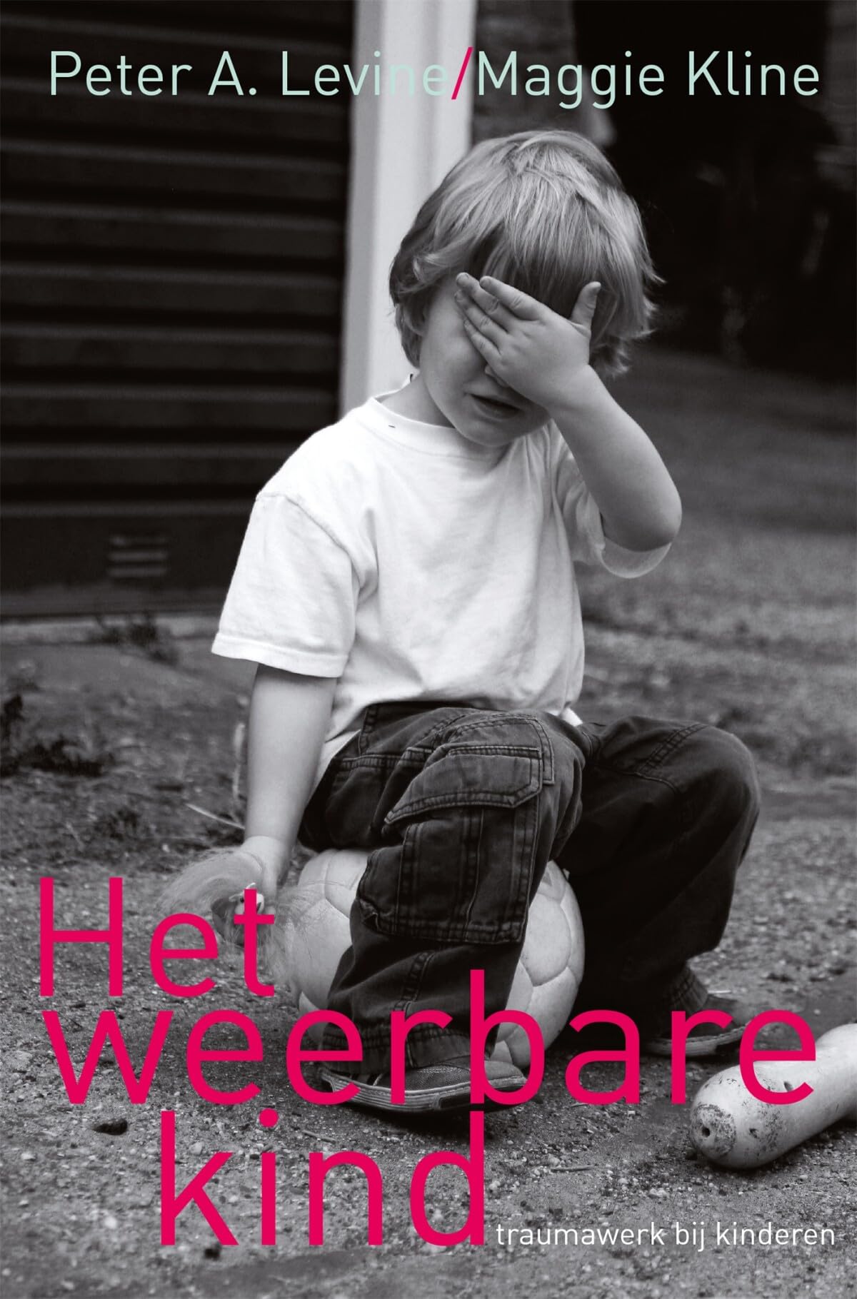 Het weerbare kind: traumawerk bij kinderen book