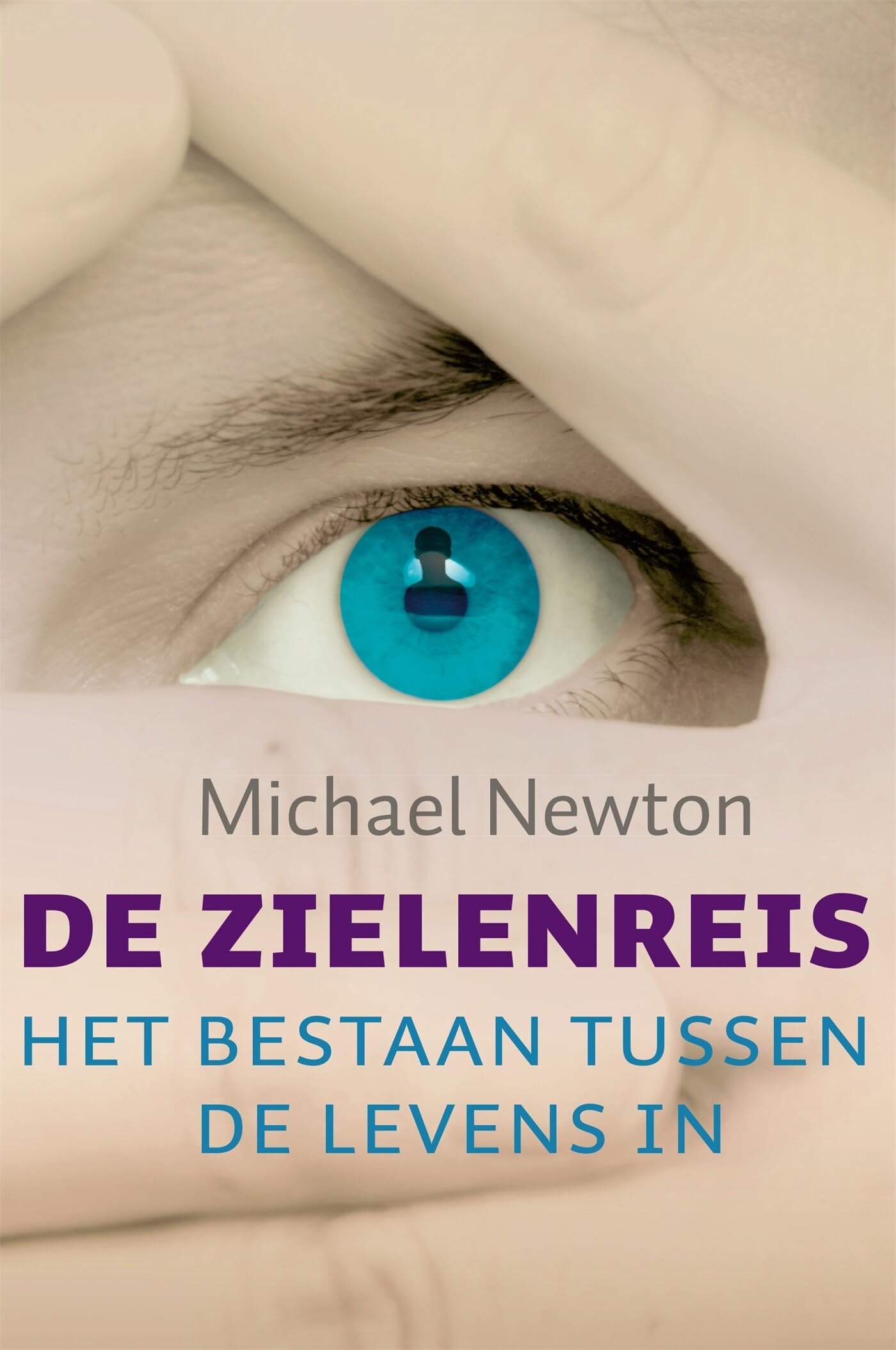 De zielenreis: het bestaan tussen de levens: het bestaan tussen de levens in Religion & Esotericism