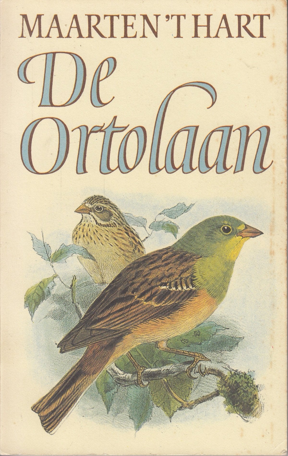 De ortolaan (Dutch Edition) Books