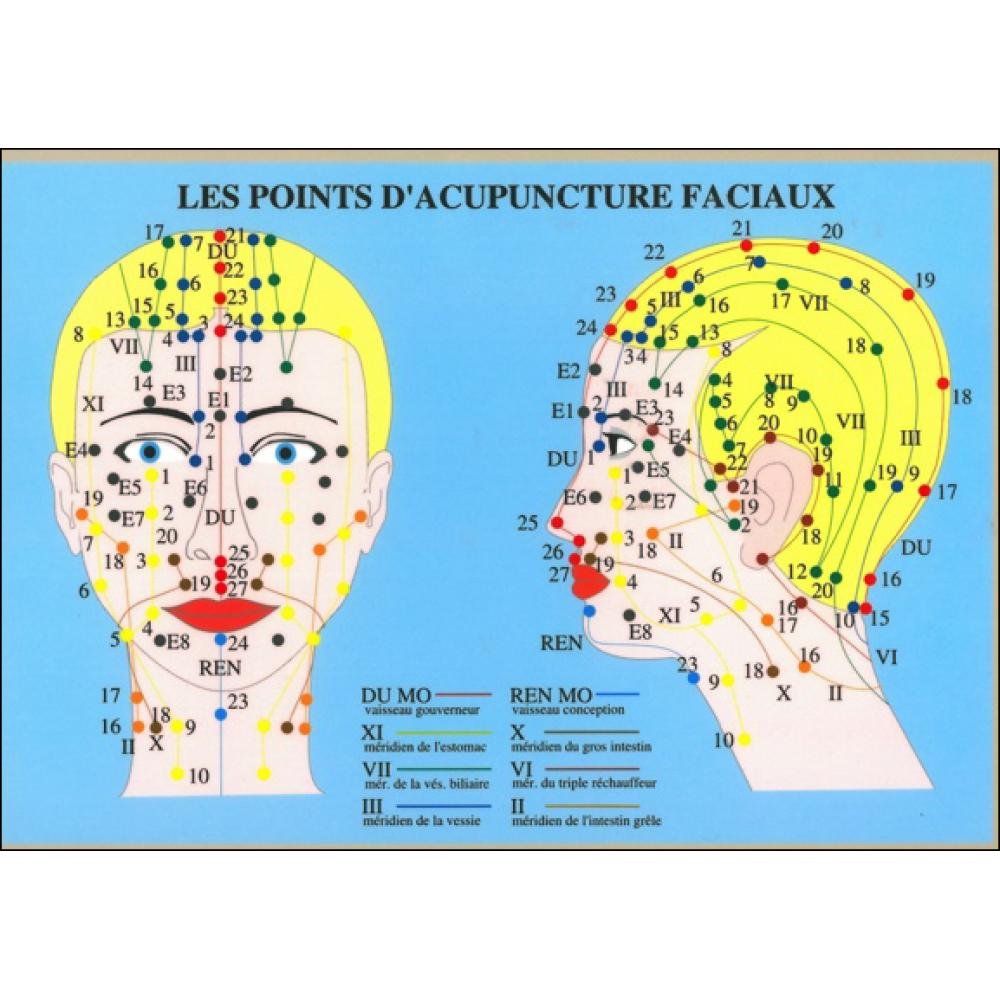 Product Image: Points d'acuponcture faciaux - pl. a4