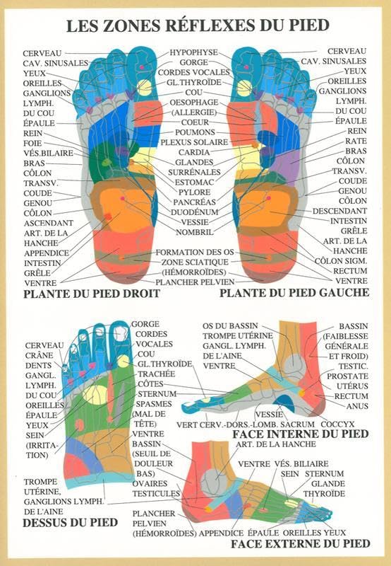 Planche Zones réflexes pieds - 17x24 cm book