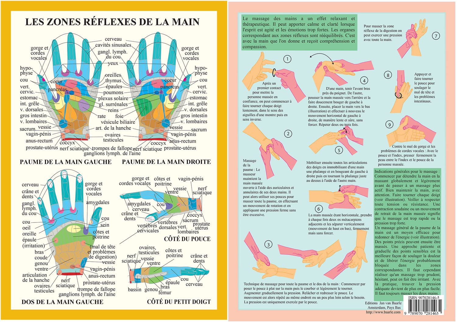 Product Image: Planche Zones réflexes de la main