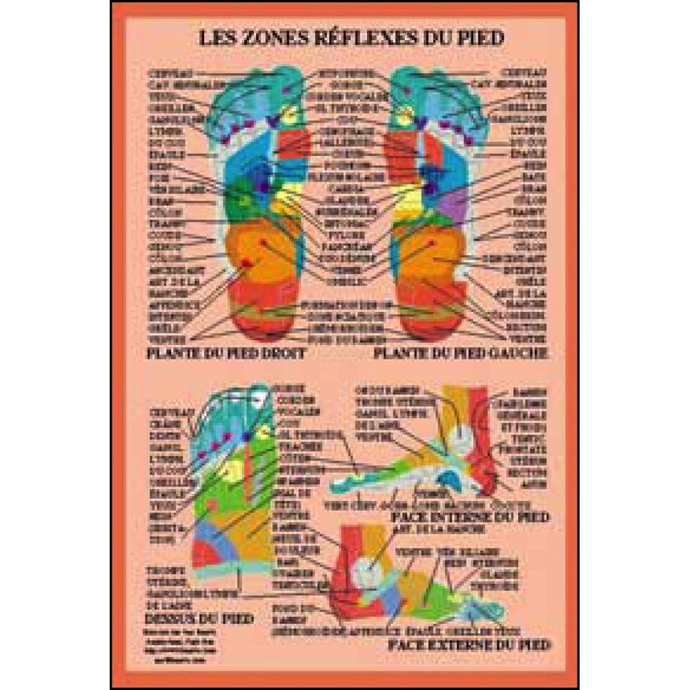 Planche Zones réflexes du pied - A4 book