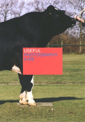Useful Photography #005 Lord Lily Travel