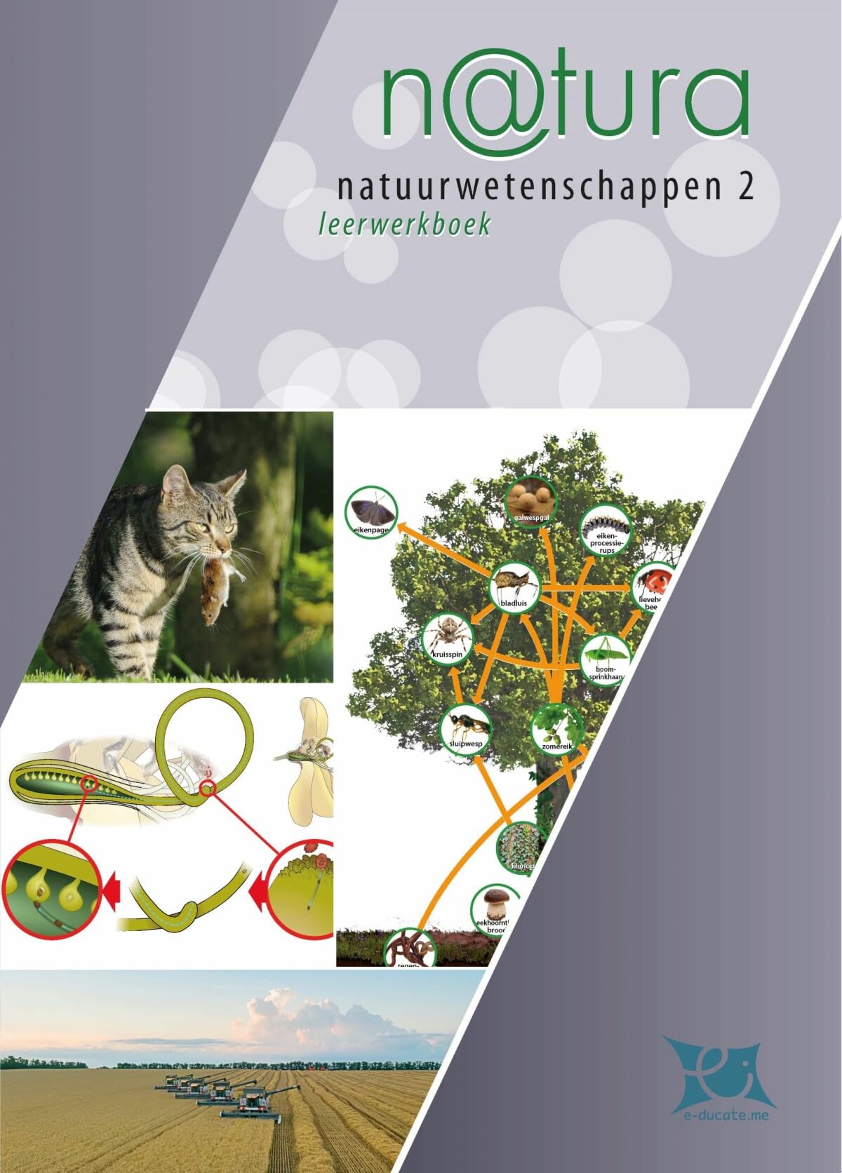 n@tura: natuurwetenschappen 2 book