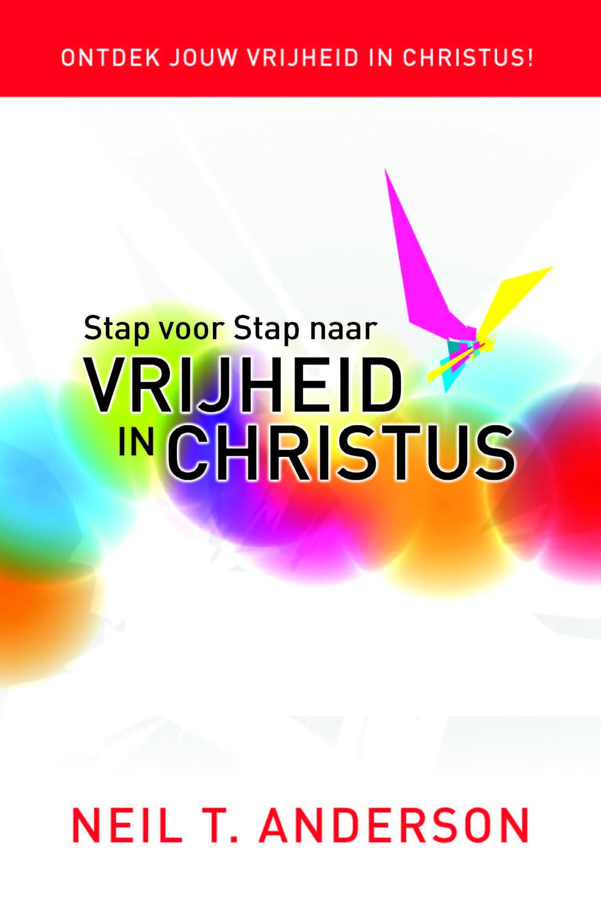 Stap voor stap naar vrijheid in Christus book