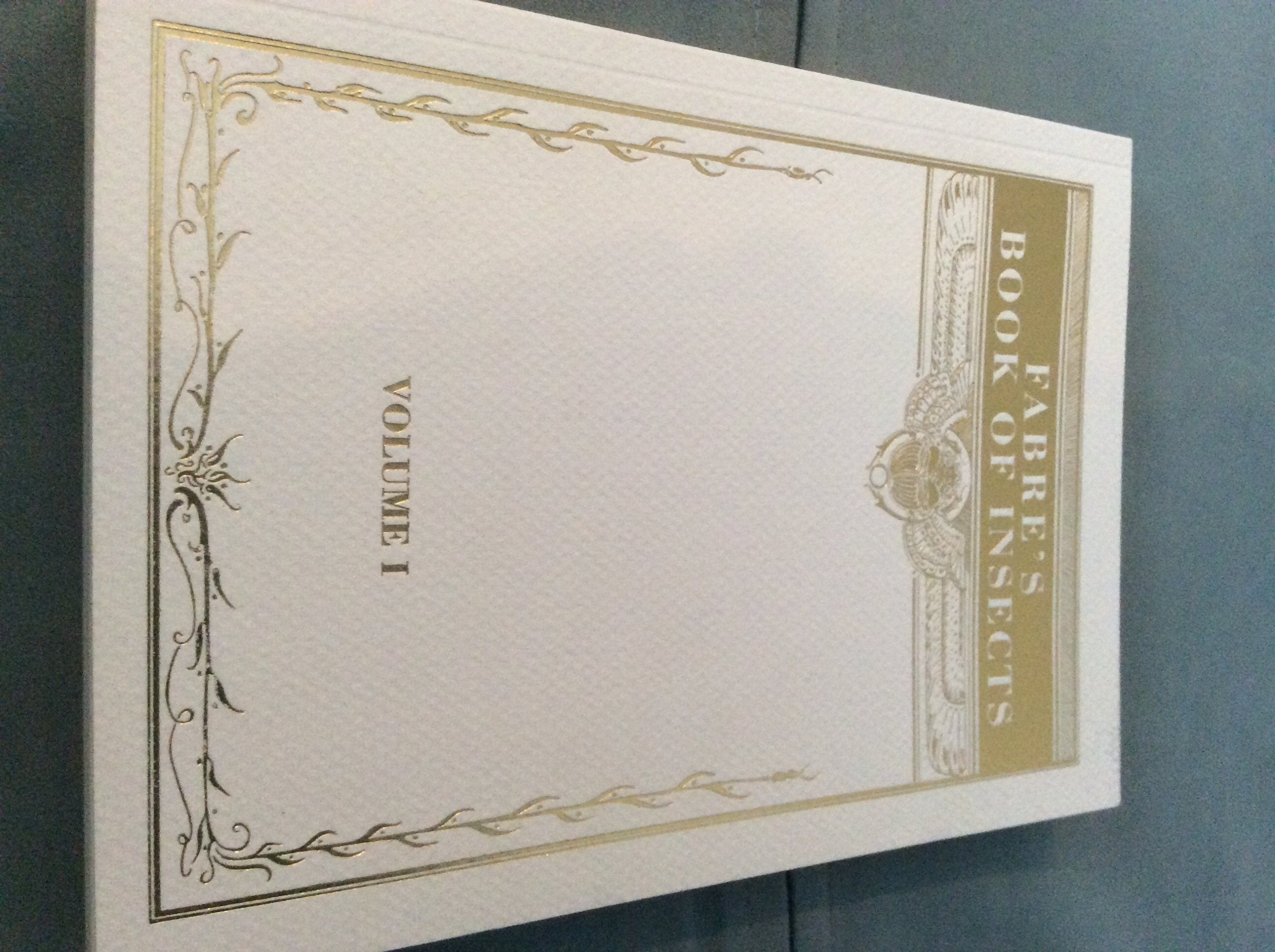 Product Image: Book of Insects