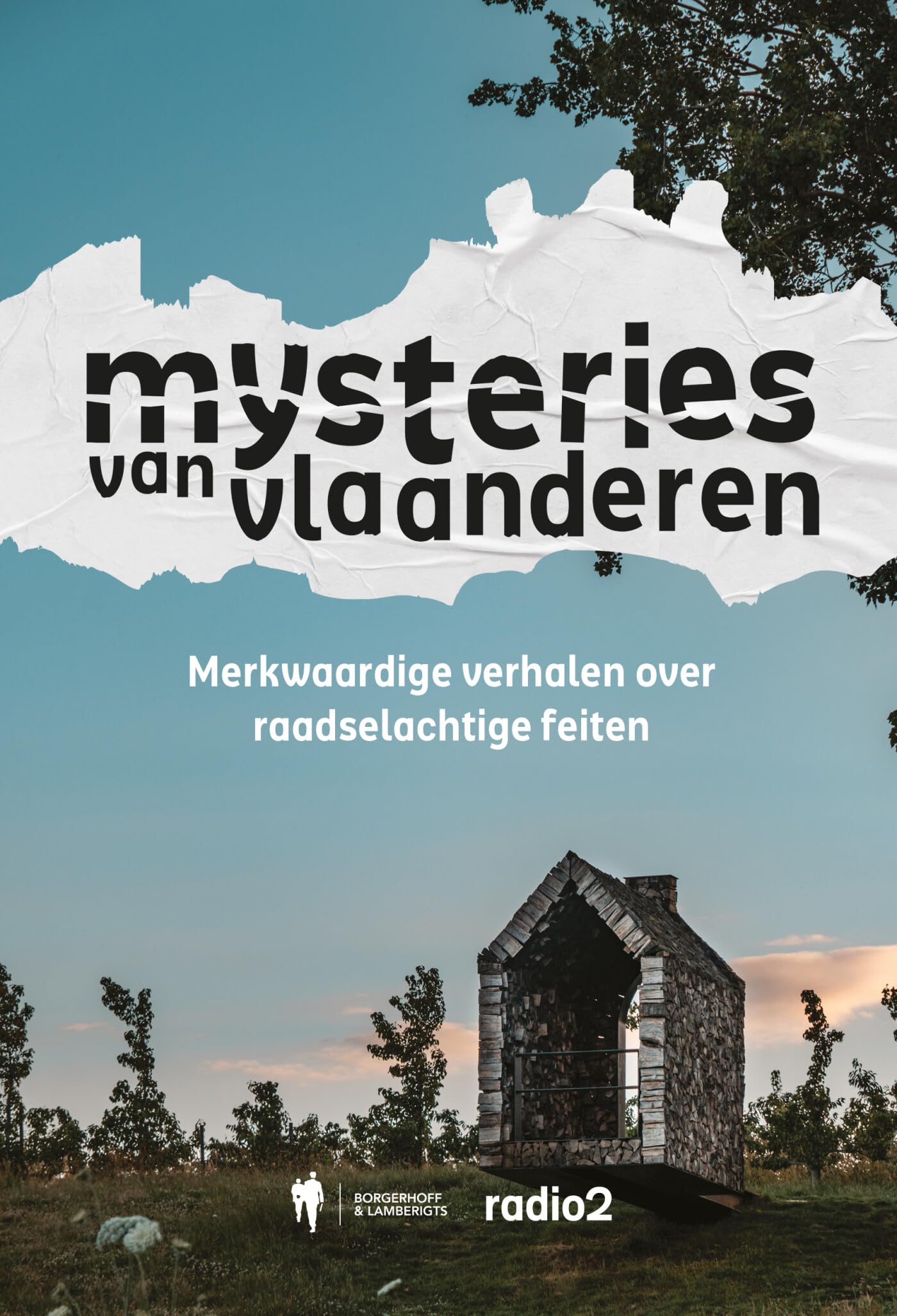 Mysteries van Vlaanderen: merkwaardige verhalen over raadselachtige feiten book