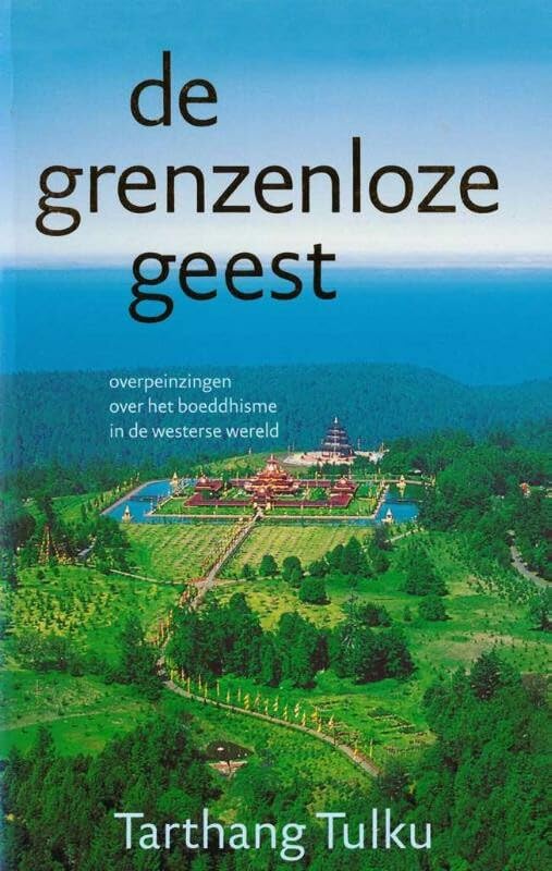 De grenzenloze geest: overpeinzingen over het boeddhisme in de westerse wereld book