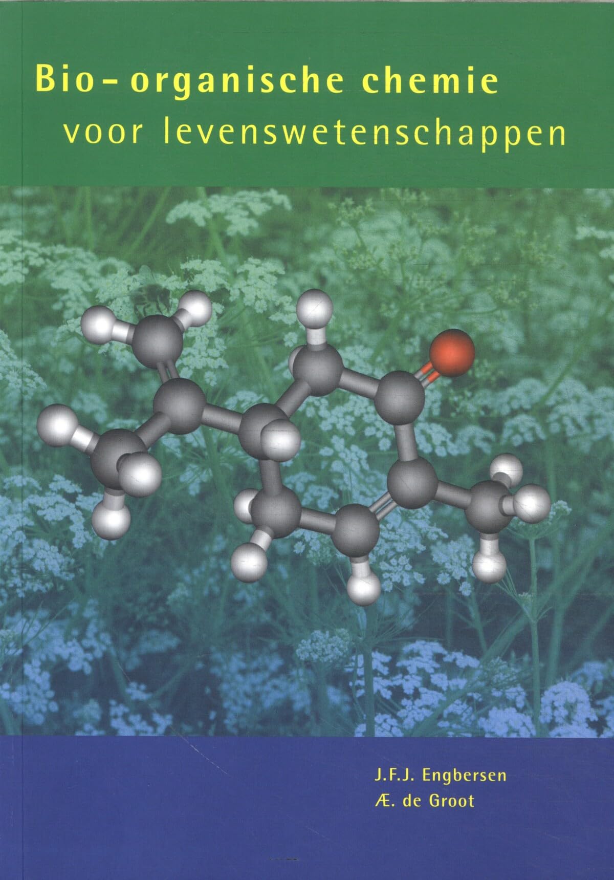 Bio-organische Chemie Voor Levenswetenschappen book