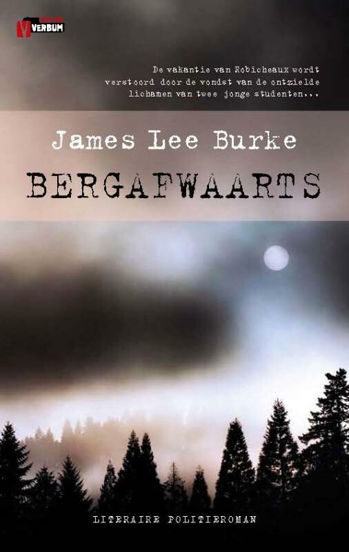 Bergafwaarts: literaire politieroman book