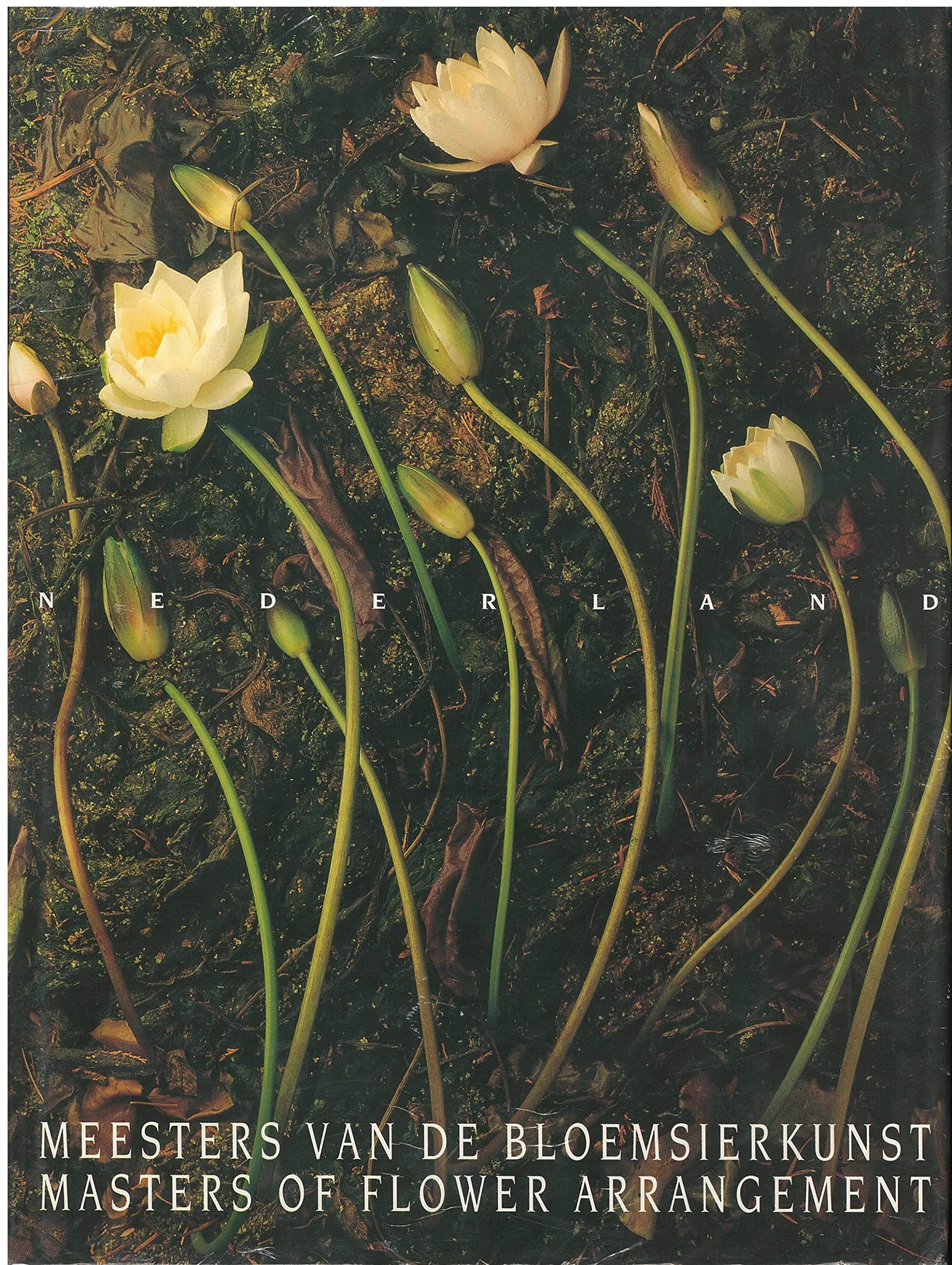 Masters of Flower Arrangement, Niederlande:Text in Engl. Sprache Film, Art & Culture