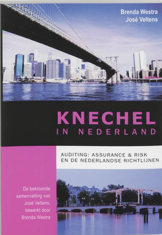 Knechel in Nederland: auditing: assurance & risk de Nederlandse richtlijnen book