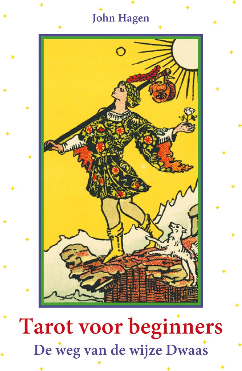 Tarot voor beginners: de weg van de wijze dwaas book