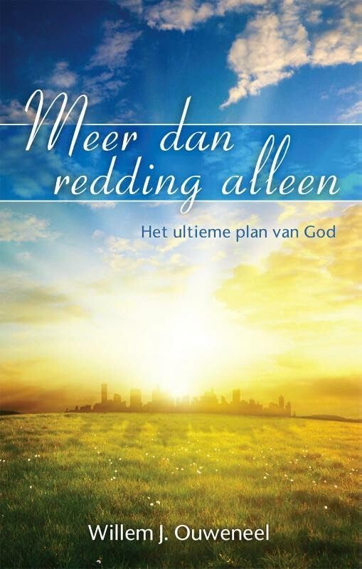 Meer dan redding alleen: het ultieme plan van God book