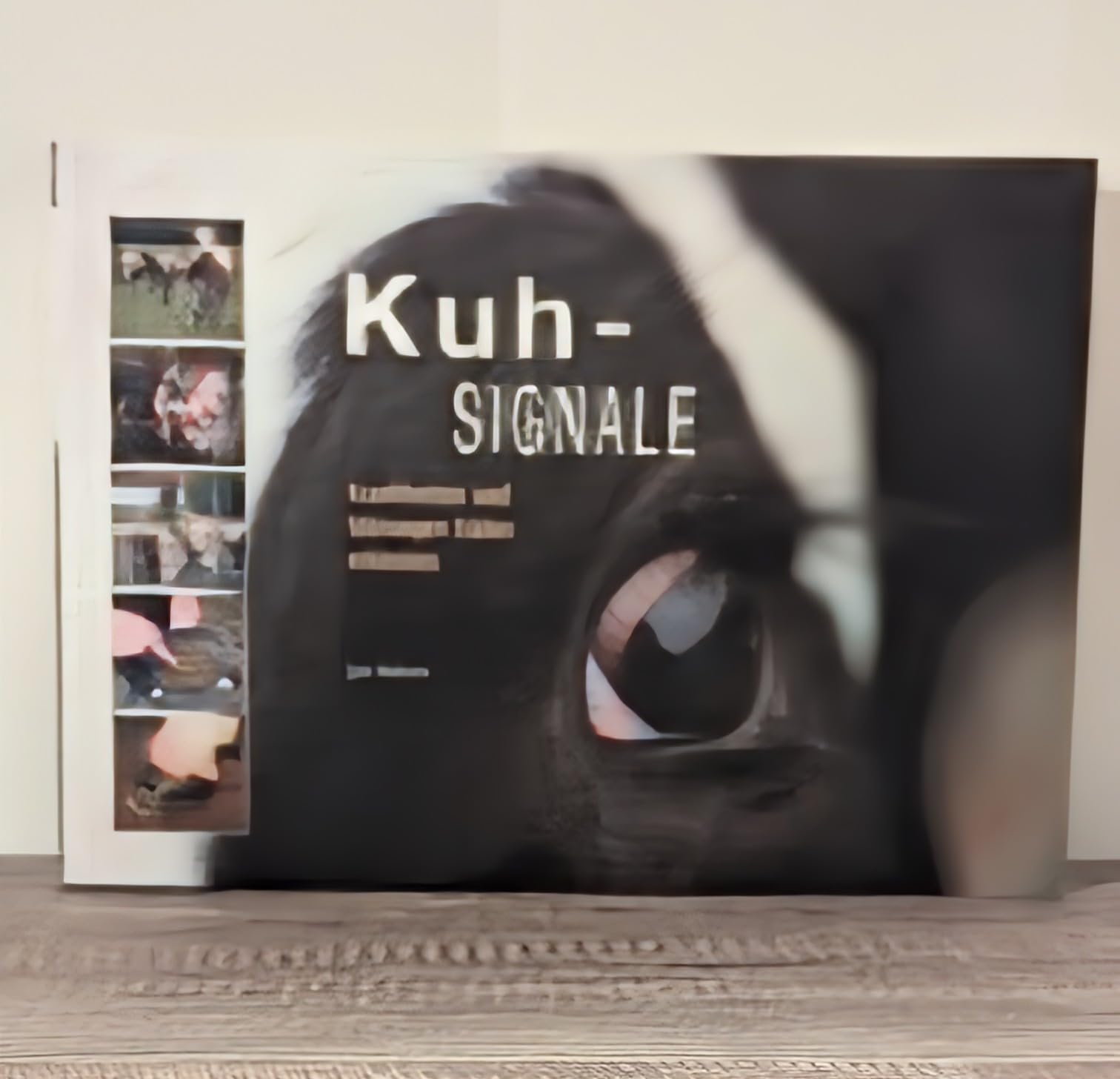 Kuhsignale: Krankheiten und Storungen fruher erkennen Books