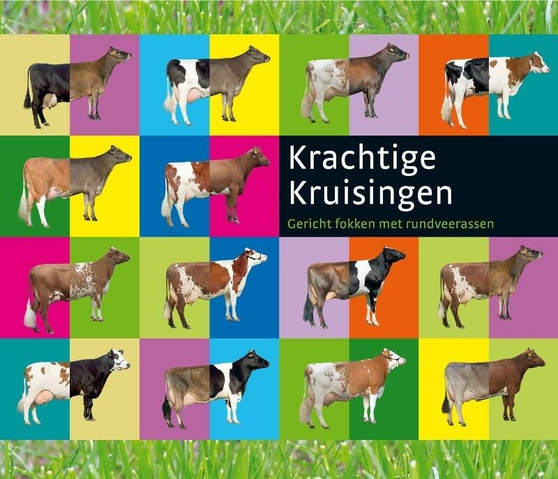 Krachtige kruisingen: gericht fokken met rundveerassen book