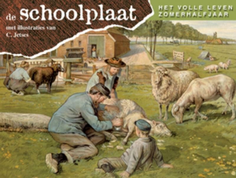 Schoolplaat het volle leven zomerhalfjaar / dr Children's books